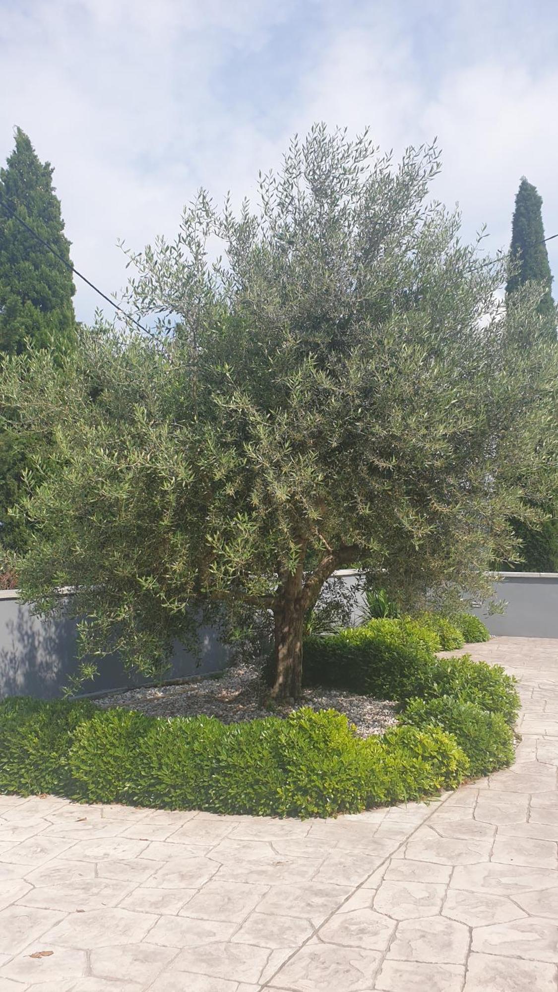 Apartma Pata, Koper - Cezarji Exterior foto